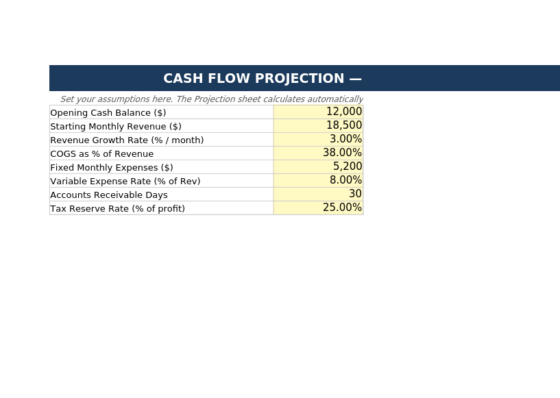 Cash Flow Projection preview